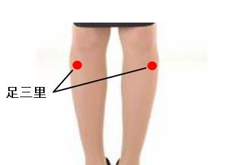 足のツボ・足のつぼ・足三里