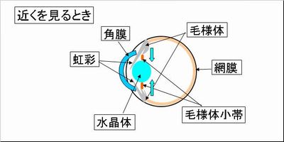 仮性近視の状態